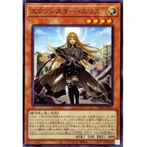 画像1: エクソシスター・エリス【ノー】