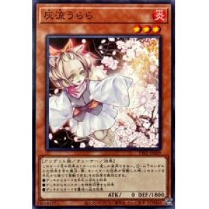 画像1: 灰流うらら【ノー】（セール品）