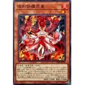 倶利伽羅天童【ノー】