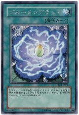 【シク】ブルーメンブラット（Bランク）