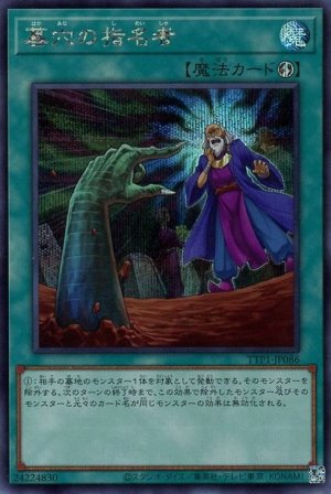 画像1: 墓穴の指名者【シク】