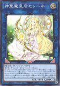 神聖魔皇后セレーネ【ノー】