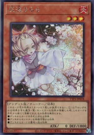 画像1: 灰流うらら【シク】