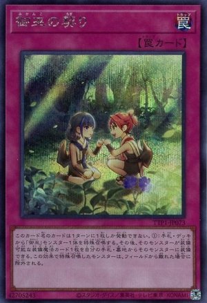 画像1: 御巫の契り【シク】
