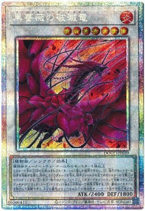 画像1: 黒薔薇の破滅竜【プリシク】