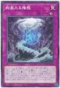 絢嵐たる権能【ノー】