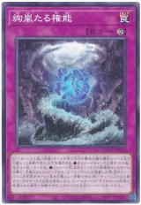 絢嵐たる権能【ノー】