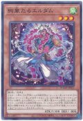 絢嵐たるエルダム【ノー】