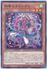 絢嵐たるエルダム【ノー】