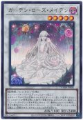 ガーデン・ローズ・メイデン【ウル】