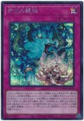 命王の螺旋【シク】
