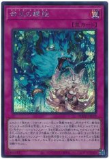 命王の螺旋【シク】