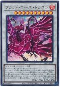 ブラッド・ローズ・ドラゴン【ウル】