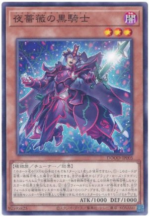 画像1: 夜薔薇の黒騎士【ノー】