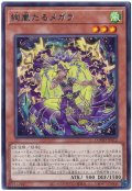 絢嵐たるメガラ【レア】
