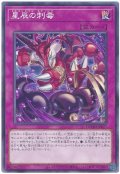 星辰の刺毒【ノー】