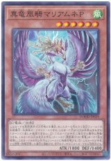 真竜凰騎マリアムネP【ノー】