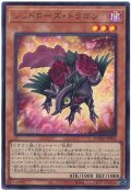 レッドローズ・ドラゴン【ウル】
