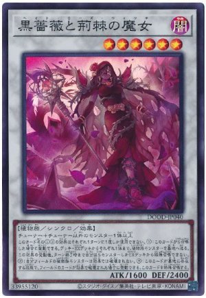 画像1: 黒薔薇と荊棘の魔女【スー】