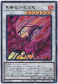 黒薔薇の破滅竜【ウル】