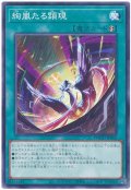 絢嵐たる顕現【ノー】