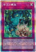命王の螺旋【プリシク】