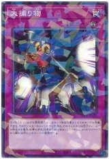 大捕り物【パラ】