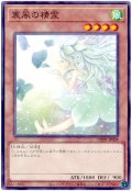 裏風の精霊【ノー】