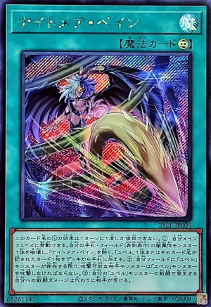 画像1: ナイトメア・ペイン【シク】