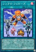 シンクロ・フェローズ【スーパー】