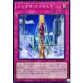シンクロ・ワンウェイ【スーパー】