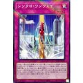 シンクロ・ワンウェイ【ノーマルパラレル】
