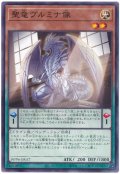 聖竜ヴルミナ像【ノー】