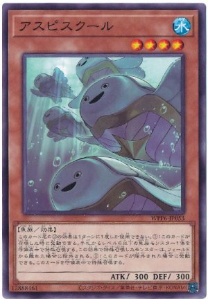 画像1: アスピスクール【ノー】