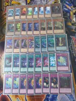 画像2: 販売予定