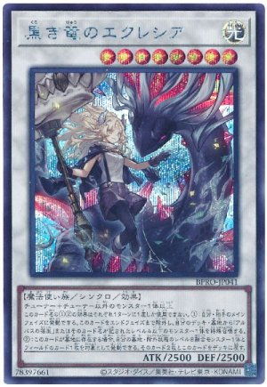 画像1: 黒き竜のエクレシア【シク】