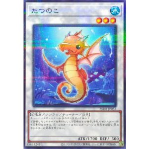 画像1: たつのこ【ノーマルパラレル】