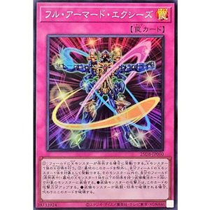 画像1: フル・アーマード・エクシーズ【スーパー】