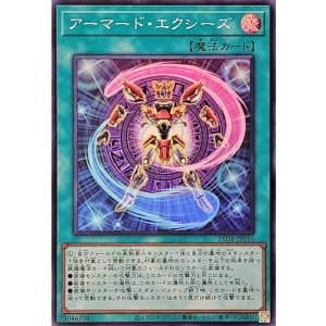 画像1: アーマード・エクシーズ【スーパー】