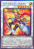トライエッジ・マスター【ノーマルパラレル】