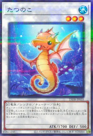 画像1: たつのこ【ノーマルパラレル】