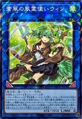 蒼翠の風霊使いウィン【ノーマルパラレル】
