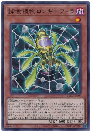 画像1: 捕食植物ロンギネフィラ【ノー】