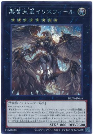 画像1: 黒智天至イリスフィール【シク】