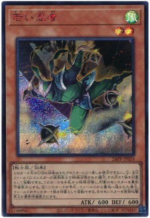 画像1: 若い忍者(SPECIAL RED Ver.)【シク】