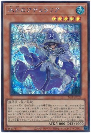 画像1: 水月のアデュラリア【シク】