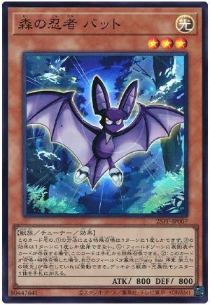 画像1: 森の忍者 バット【スー】