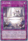 白の仲裁【パラ】