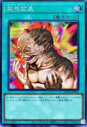 画像1: 突然変異【シク】