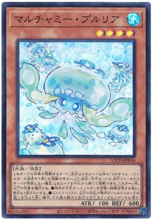 画像1: マルチャミー・プルリア【スー】